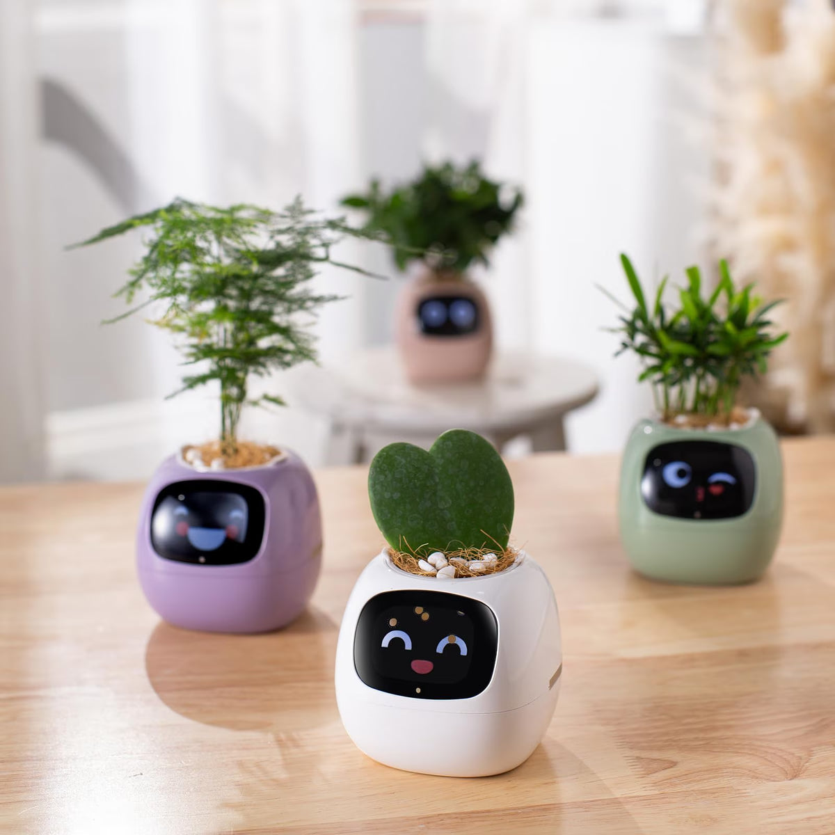 Smart Pet Planter Robot Guidance on Plant Care with Emojis, Adorable Plant Companion with Rich Gesture Interaction, Neat Desk Setup Gift (White)