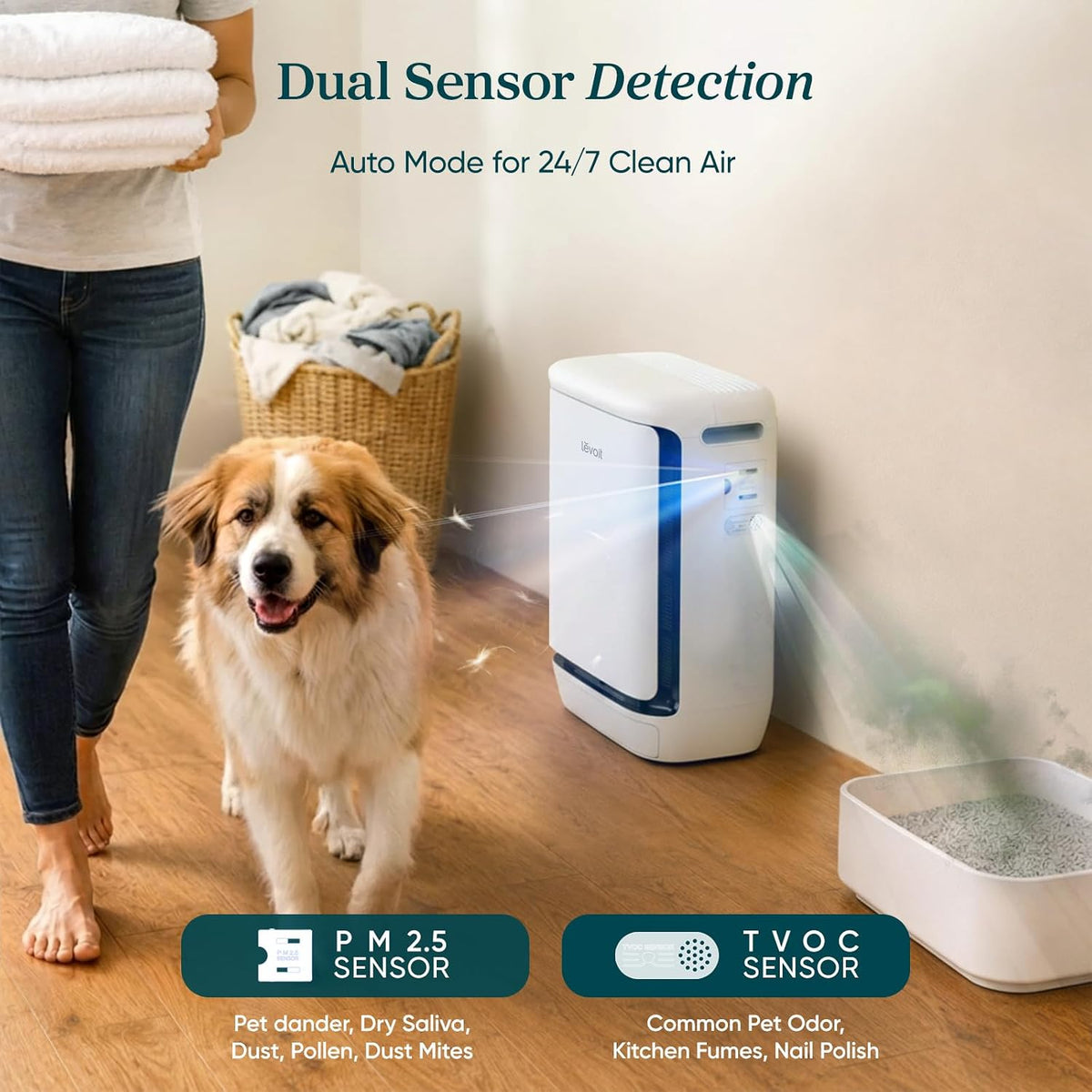 Transform Your Home with the Vital Pet Pro Smart Air Purifier: The Ultimate Solution for Pet Owners in Large Rooms