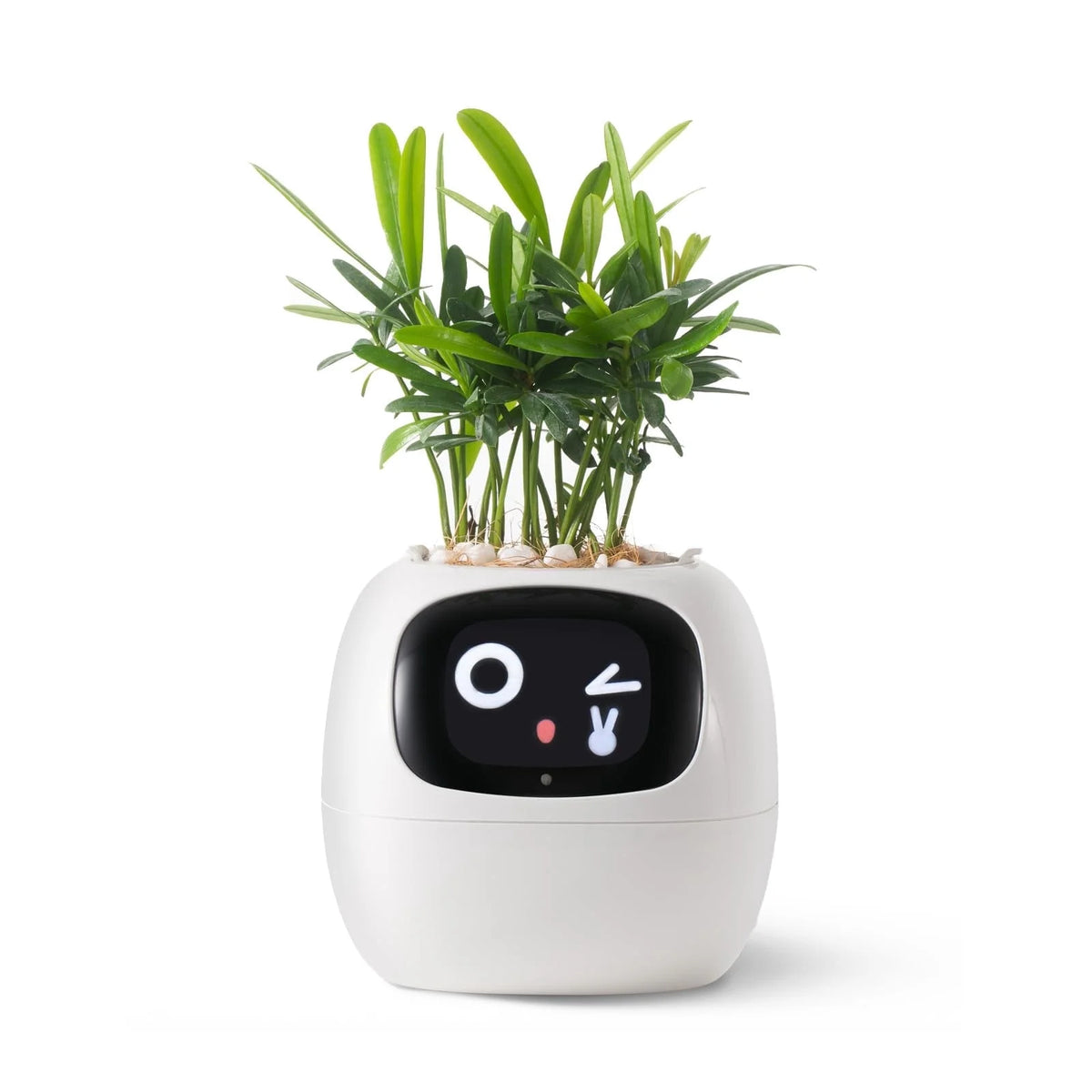 Smart Pet Planter Robot Guidance on Plant Care with Emojis, Adorable Plant Companion with Rich Gesture Interaction, Neat Desk Setup Gift (White)